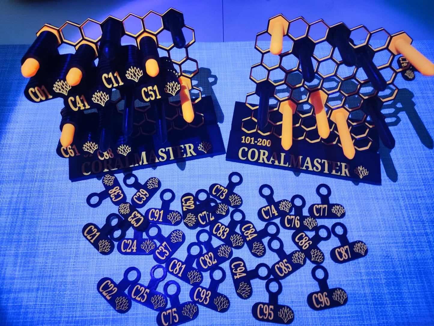 Frag Tags